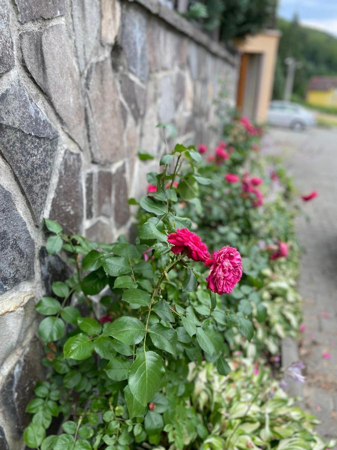 Hotel Vila Man Sovata Zewnętrze zdjęcie